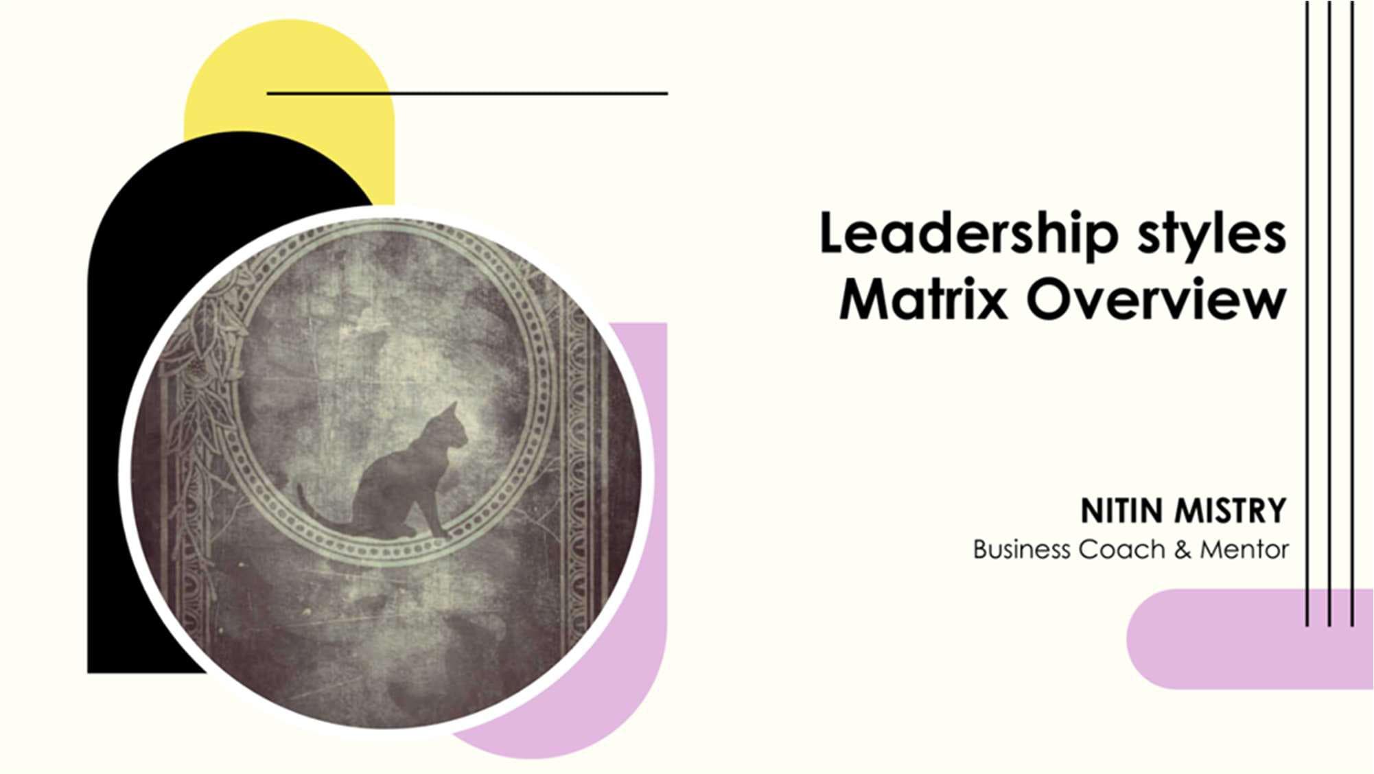 Leadership styles Matrix Overview